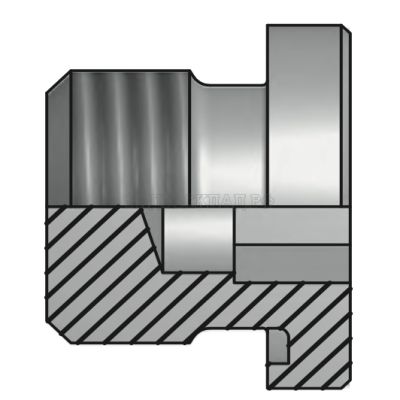 Заглушка BSPP 1/4