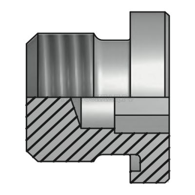 Заглушка Metric 16x1.5(ш) SW=8 FormE (Vitillo SPA)